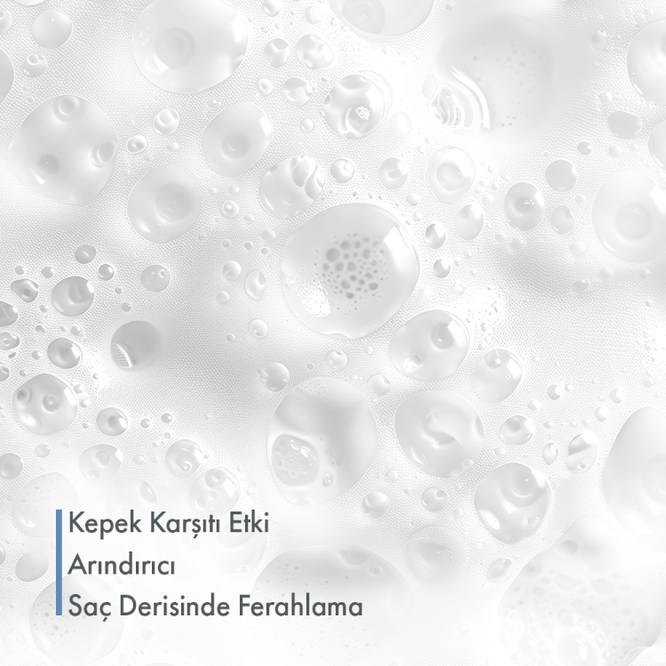 Yağlı Sa&ccedil;lar İ&ccedil;in Kepek Karşıtı Şampuan