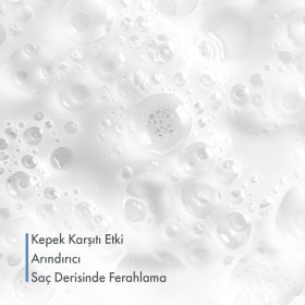 Yağlı Sa&ccedil;lar İ&ccedil;in Kepek Karşıtı Şampuan